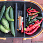Fresh from the garden: A bountiful harvest of cucumbers and peppers in a practical gardening basket, ready for kitchen use! A top-down shot of a garden harvest basket holding ripe cucumbers and a colorful assortment of peppers, with a pruning tool and knife tucked between them, all set on a patio or outdoor surface.