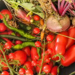 A bountiful harvest of fresh vegetables from the garden. Celebrating a bountiful garden harvest! This bowl overflows with fresh cherry tomatoes, ripe Roma tomatoes, green peppers, and beets, all straight from the garden.